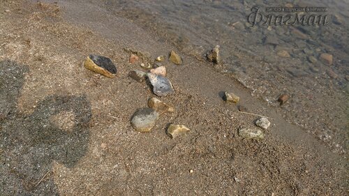 DSC_20220808111829_0252